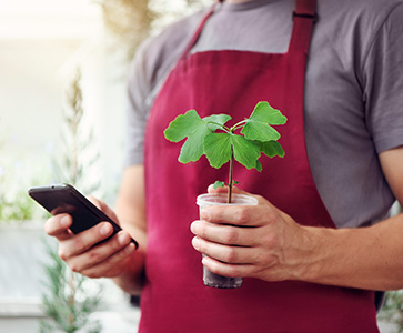 A man in an apron holding a mobile phone and a plant